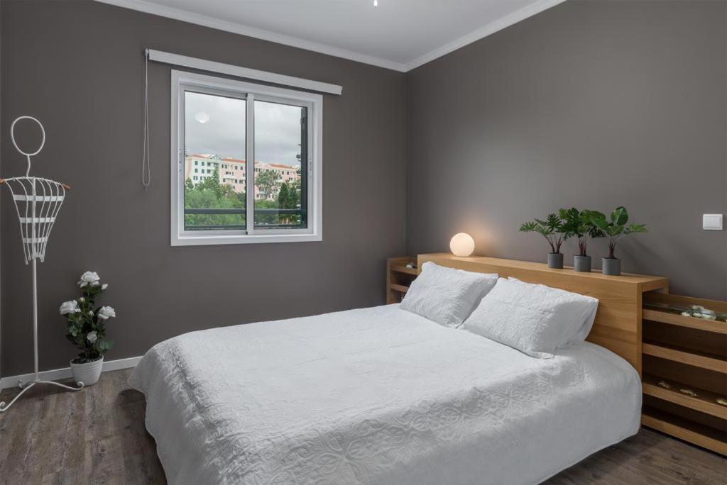 Flh Funchal Nature Flat With Balcony Exteriör bild